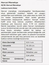Hercai Menekşe Çiçeği Tohumu thumbnail 2