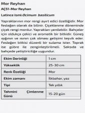 Mor Reyhan Çiçeği Tohumu thumbnail 2