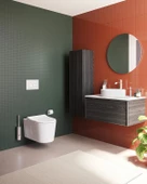 Vitra Nest QuantumFlush Asma Klozet thumbnail 5