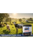 VITARMOR SUPPLEMENTS Farm Mushroom Powder 350 Gr thumbnail 2