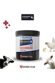 VITARMOR SUPPLEMENTS Farm Mushroom Powder 350 Gr thumbnail 1