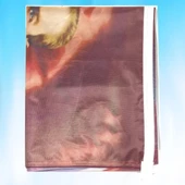 ATATÜRK RESMİ 450X300 cm thumbnail 2