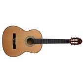 Solares SCB100N Klasik Gitar thumbnail 3