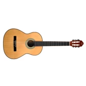 Solares SCS100N Klasik Gitar thumbnail 3