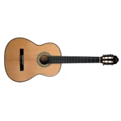 Solares SCR100N Klasik Gitar thumbnail 3
