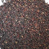 Siyah Hardal Tohumu Tane 50 gr thumbnail 4