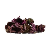 Ekinezya çiçeği (Echinacea Angustifolia) 250gr, Derya Eren thumbnail 2