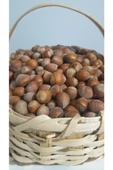 güvenpro FINDIK KABUKLU FINDIK 1 KG thumbnail 2
