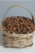 güvenpro FINDIK KABUKLU FINDIK 1 KG thumbnail 1
