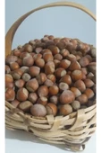 güvenpro FINDIK KABUKLU FINDIK 1 KG thumbnail 5