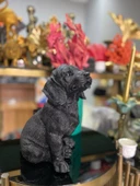 Dekorarif köpek Heykeli Biblo thumbnail 2