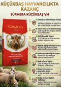 Buffer - Vitamin -Tırnak sertleştirici - Premiks thumbnail 4