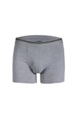 Yıldız 367 Gri Formen Likralı Boxer thumbnail 1