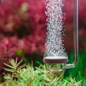 Aquario Neo Co2 Diffuser Normal Original L thumbnail 2