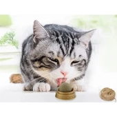 Kedi Nanesi Oyun Topu thumbnail 1