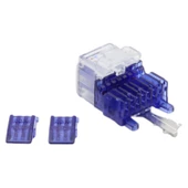 KEYSTONE JACK UTP CAT6 90 D BLUE-RED thumbnail 4