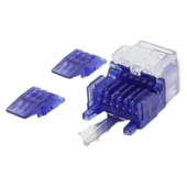 KEYSTONE JACK UTP CAT6 90 D BLUE-RED thumbnail 2