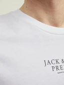 Jack Jones Bluar Chıe Erkek Tişört 12217167 thumbnail 12