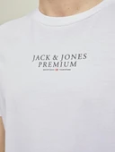 Jack Jones Bluar Chıe Erkek Tişört 12217167 thumbnail 11