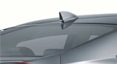 BALIK SIRTI BOYASIZ thumbnail 5
