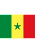 Senegal Bayrağı  30x45 cm. thumbnail 1