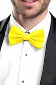 Erkek Düz Renk Saten Papyon thumbnail 7