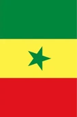 Senegal Gönder Bayrağı  100x150 cm. thumbnail 4