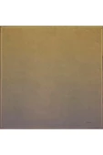 Bosphorus Çift Taraflı İpek Twill Eşarp 7208712-935 thumbnail 4