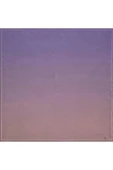 Bosphorus Çift Taraflı İpek Twill Eşarp 7208712-933 thumbnail 4