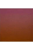 Bosphorus Çift Taraflı İpek Twill Eşarp 7208712-931 thumbnail 4