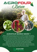 AGROFOUR BOREN SIVI BİTKİ GÜBRESİ 1 LT thumbnail 2