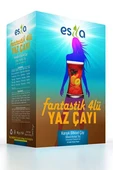 Fantastik 4 Lü Yaz Çayı 45 Li. thumbnail 5
