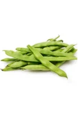 Fasulye Tohumu 50 Gr thumbnail 6