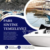 Pars Sintine Temizleyici 20 Lt thumbnail 2