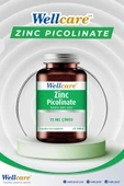 Wellcare Çinko Pikolinat 15mg 60 Tablet thumbnail 3