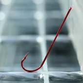 Bkk Carlisle Bloodworm-R Olta İğnesi thumbnail 3