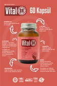 VİTALQR 60 KAPSÜL X 405 MG thumbnail 4