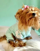 Minty Palm Kalın Penye Köpek Tulum Pijama thumbnail 6