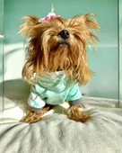 Minty Palm Kalın Penye Köpek Tulum Pijama thumbnail 4