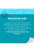 GURME SOKAĞI Okaliptus Yağı 10 ml thumbnail 3