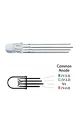 5mm Rgb Led Ortak Anot thumbnail 6