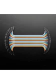 40 Pin Dupont Kablo 20cm thumbnail 6