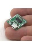PAM8403 Modul Micro Usb Soketli thumbnail 2