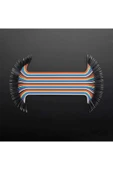 40 Pin Dupont Kablo 20cm thumbnail 8