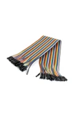 40 Pin Dupont Kablo 20cm thumbnail 1