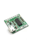 PAM8403 Modul Micro Usb Soketli thumbnail 6