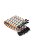 40 Pin Dupont Kablo 20cm thumbnail 1