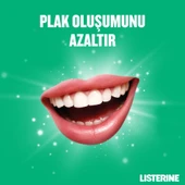 Listerine Fresh Burst 250 Ml thumbnail 3