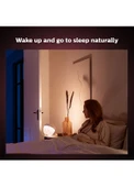Philips Hue Iris Gümüş Akıllı Masa Lambası thumbnail 8