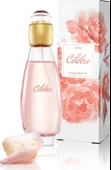 Avon Celebre 50 Ml Kadın Parfüm Edt thumbnail 1